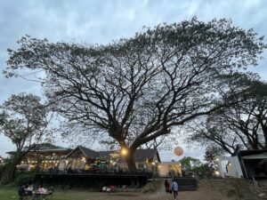 เส้นทางอุดรสู่นครพนม เที่ยวปลอดภัยด้วยรถเช่าพร้อมคนขับจาก friendscarrent